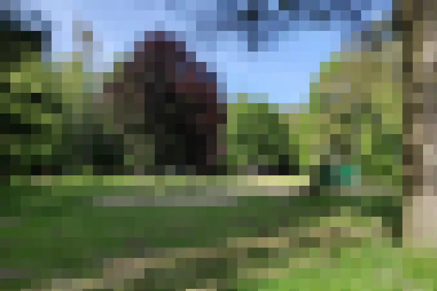 Dorpstraat 8 Gassel thumbnail 68