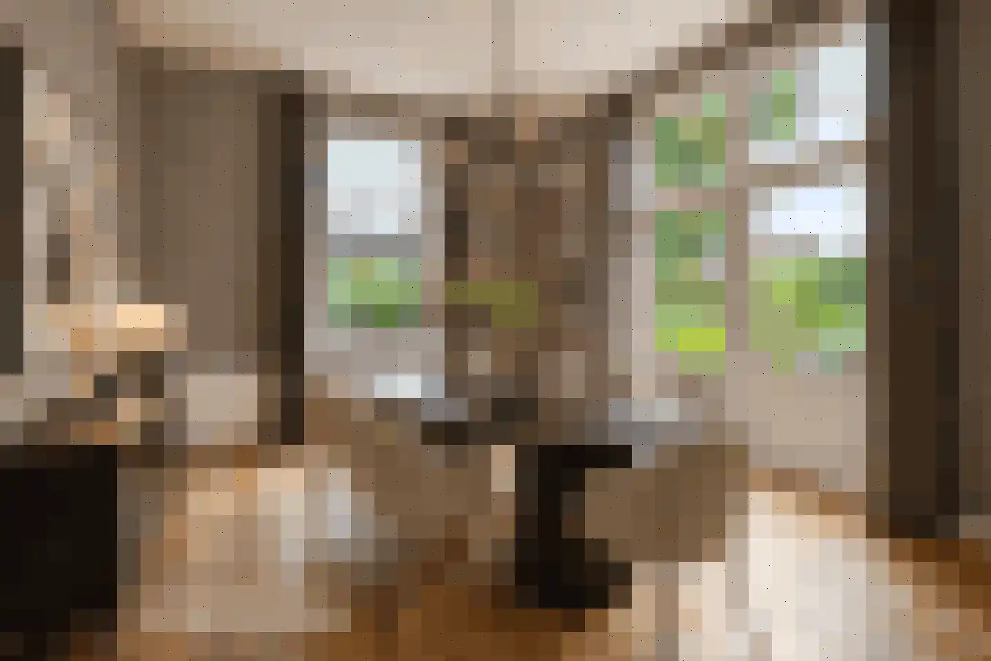 Dorpstraat 8 Gassel thumbnail 7