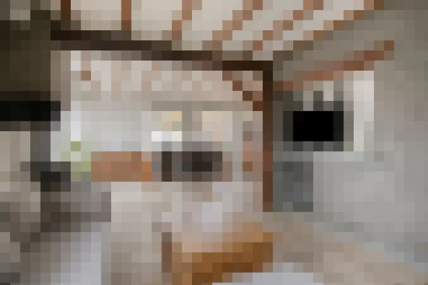 Dorpstraat 8 Gendt thumbnail 4