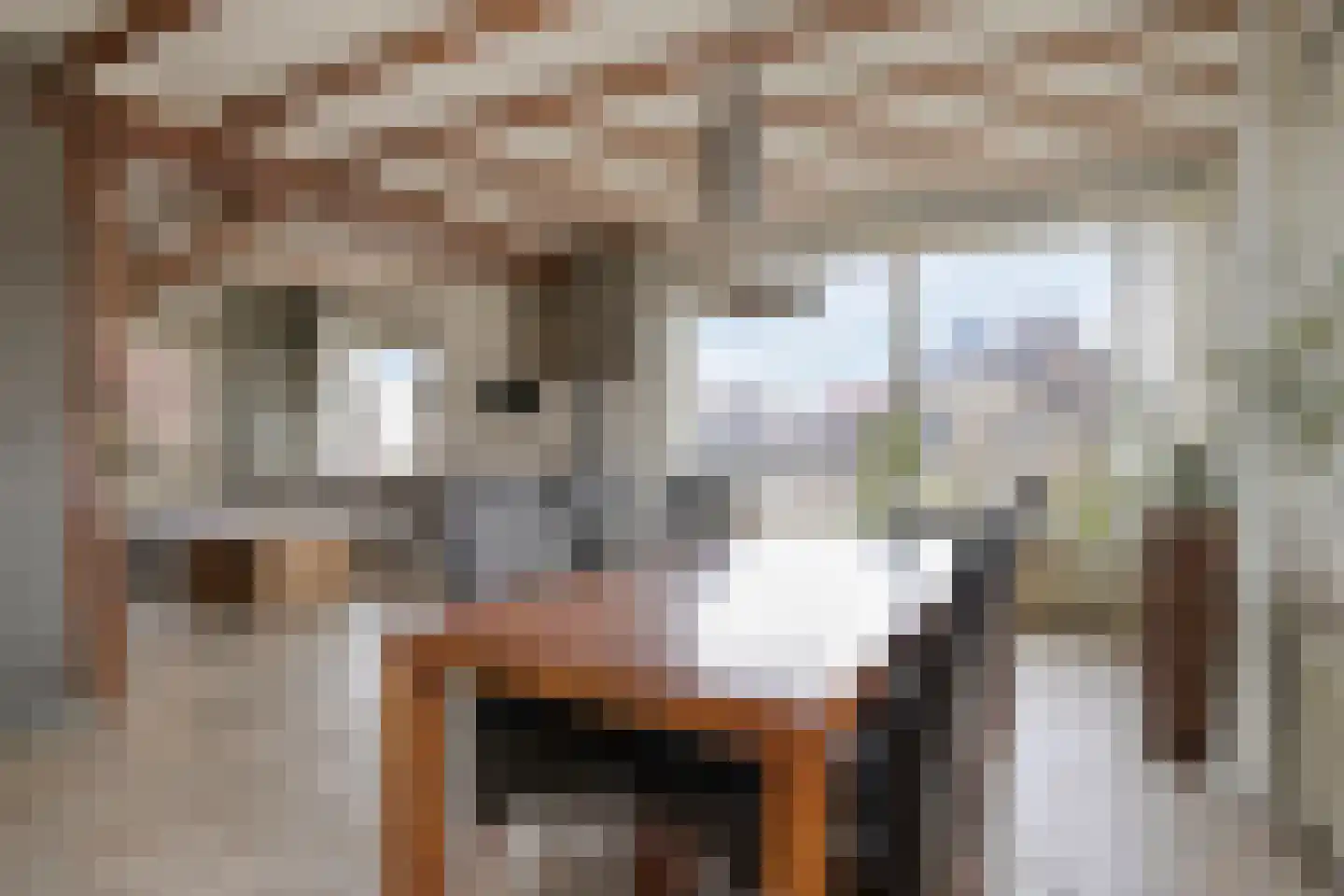 Dorpstraat 8 Gendt thumbnail 6
