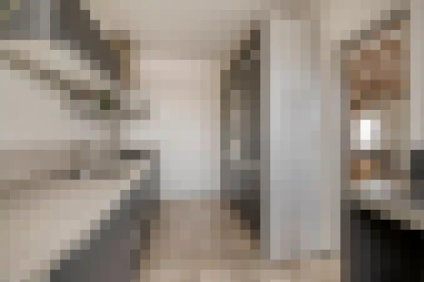 Dorpstraat 8 Gendt thumbnail 8