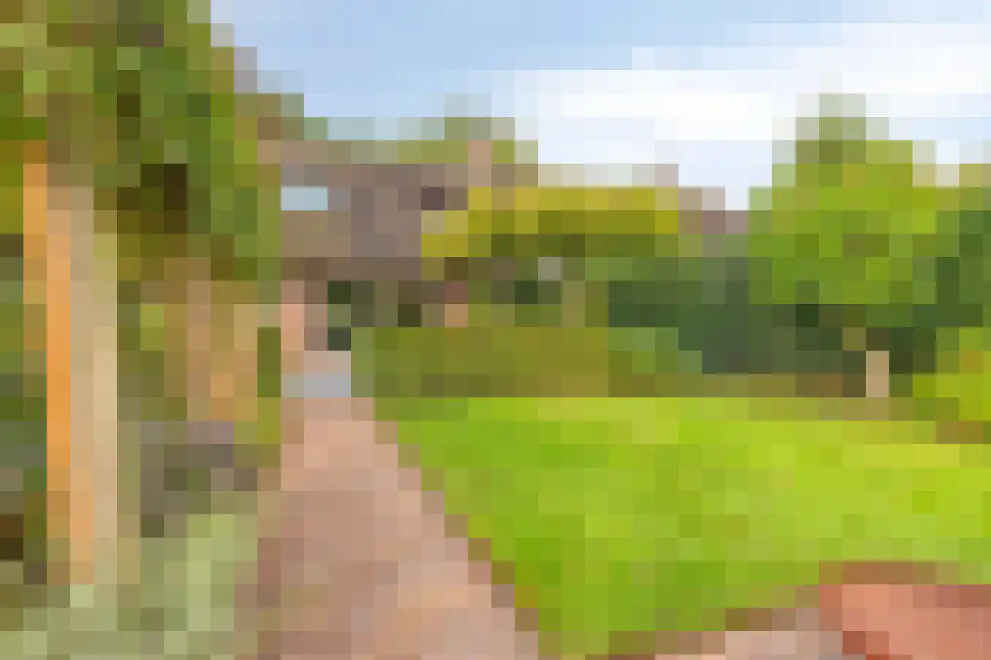 Dorpstraat 8 Nuland thumbnail 38