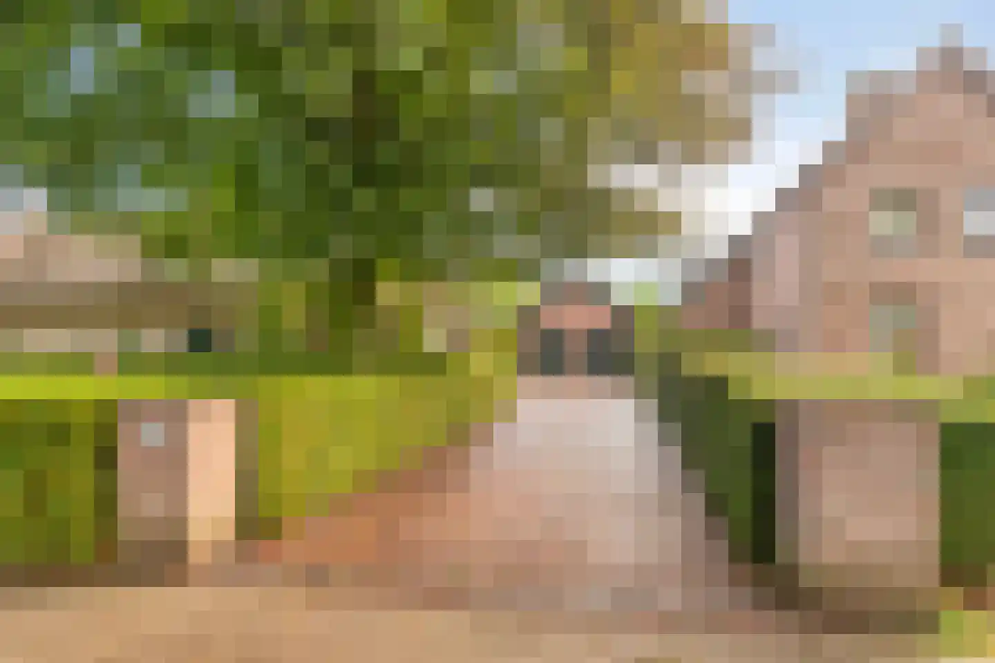 Dorpstraat 8 Nuland thumbnail 8