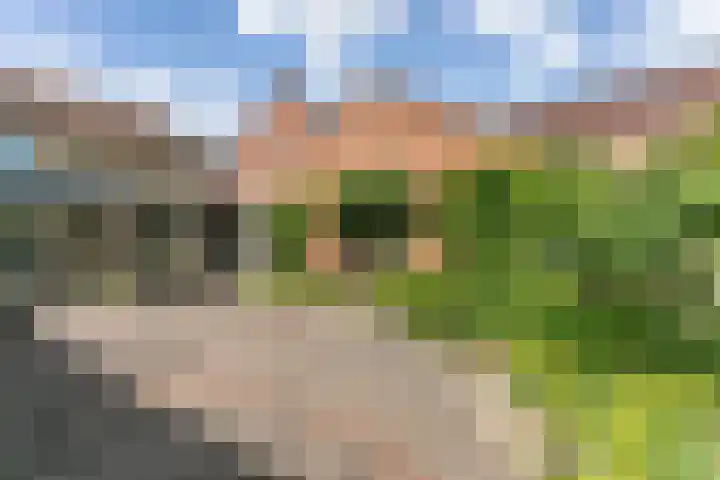 Dorpstraat 8 Valkenburg thumbnail 35
