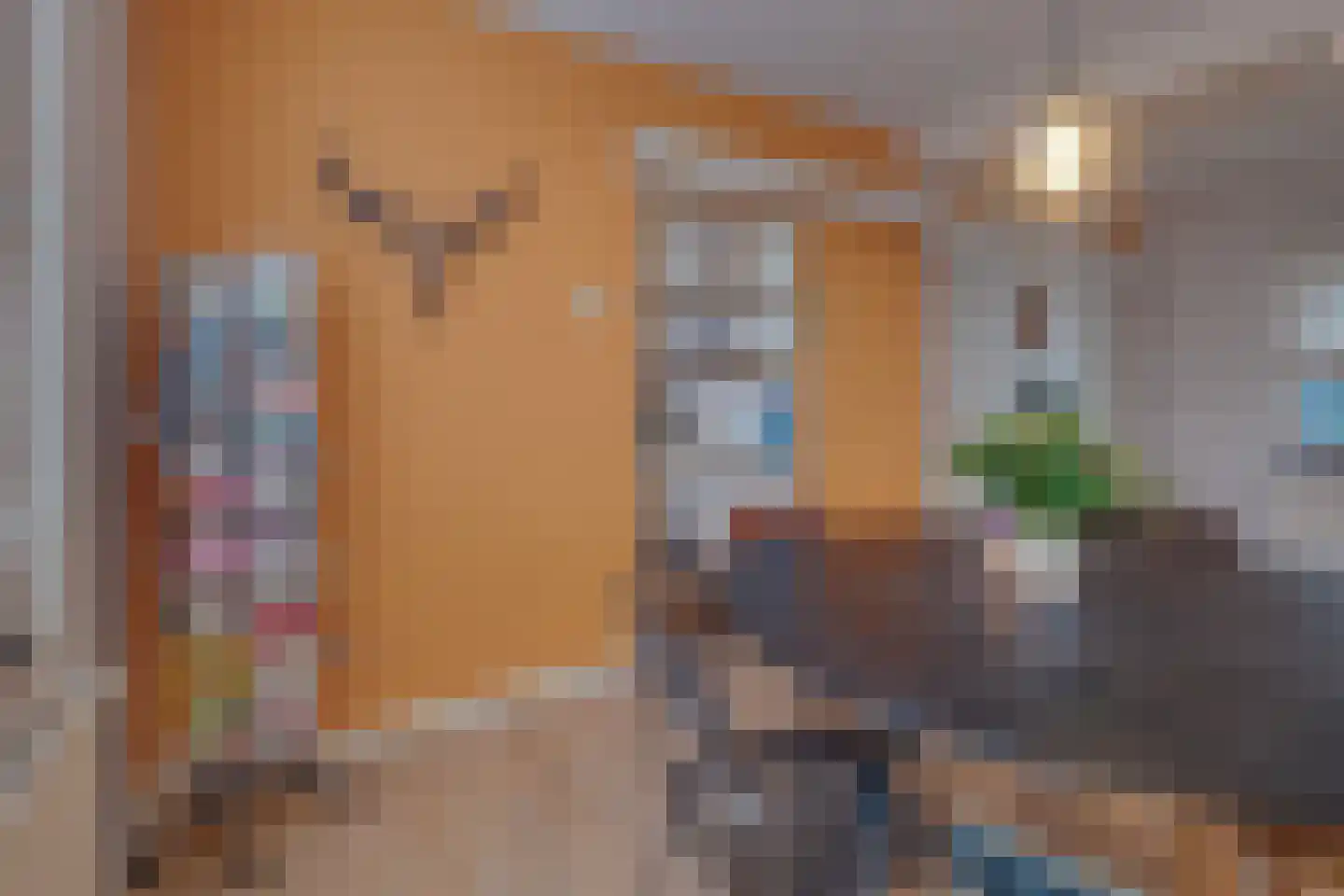 Dorpstraat 81 A Echt thumbnail 15
