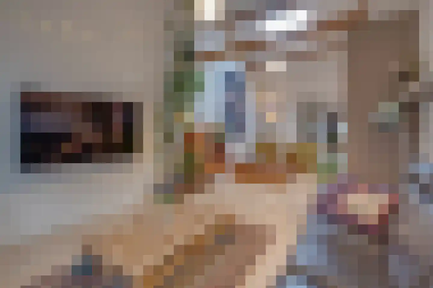Dorpstraat 81 A Echt thumbnail 26