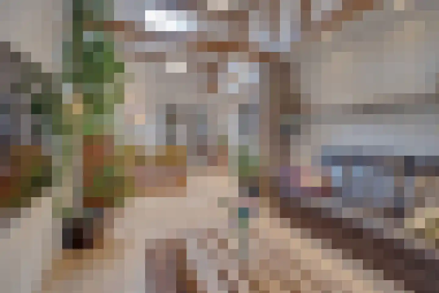 Dorpstraat 81 A Echt thumbnail 28