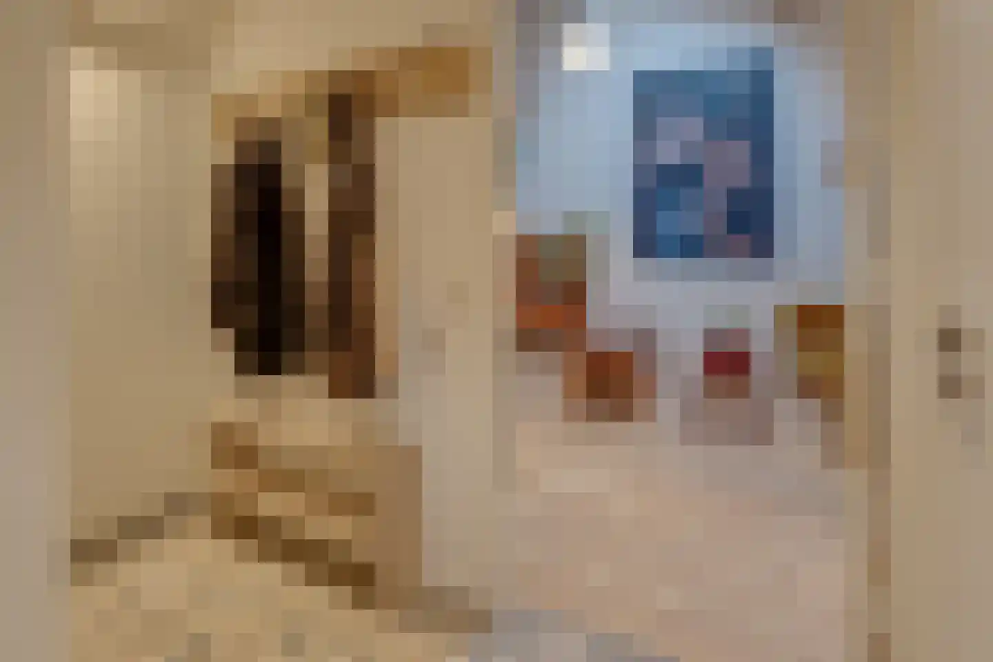 Dorpstraat 81 A Echt thumbnail 30