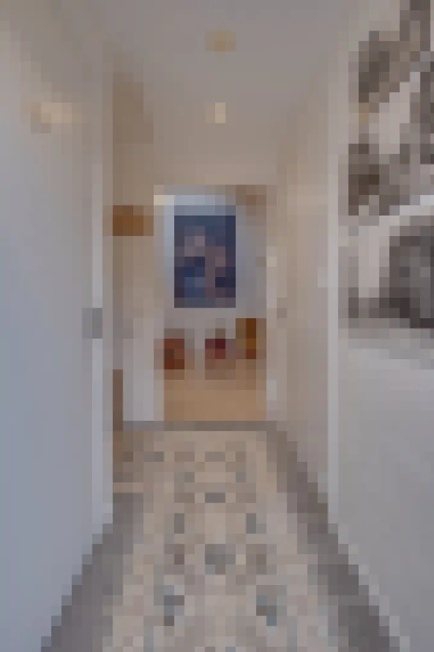Dorpstraat 81 A Echt thumbnail 31