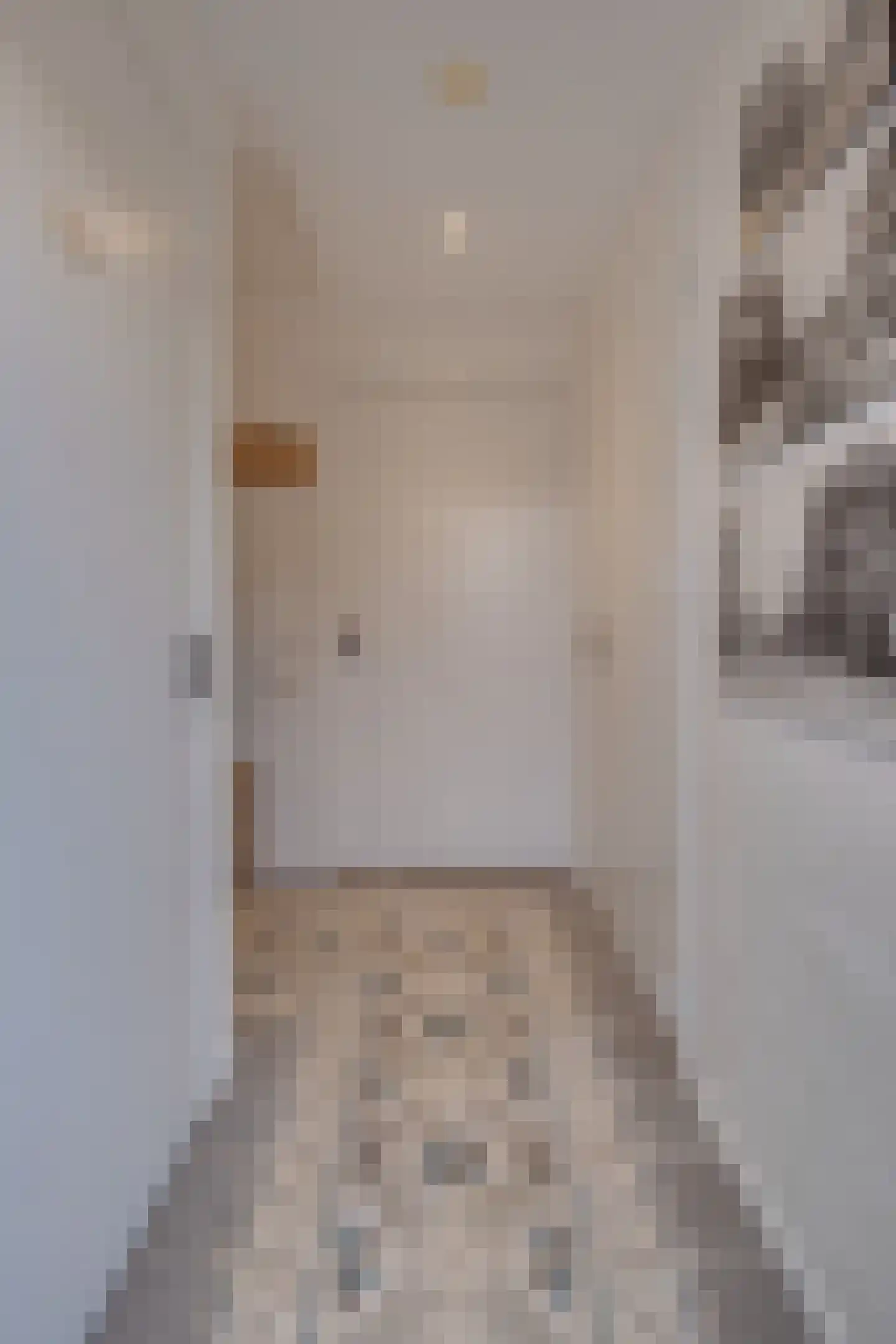 Dorpstraat 81 A Echt thumbnail 52