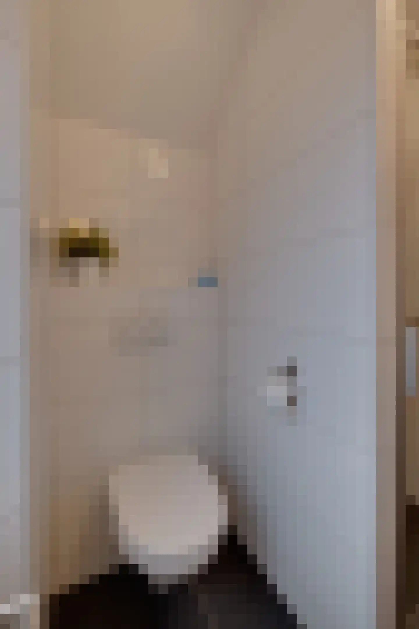 Dorpstraat 81 A Echt thumbnail 58