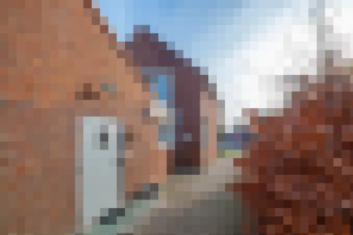 Dorpstraat 81 A Echt thumbnail 61