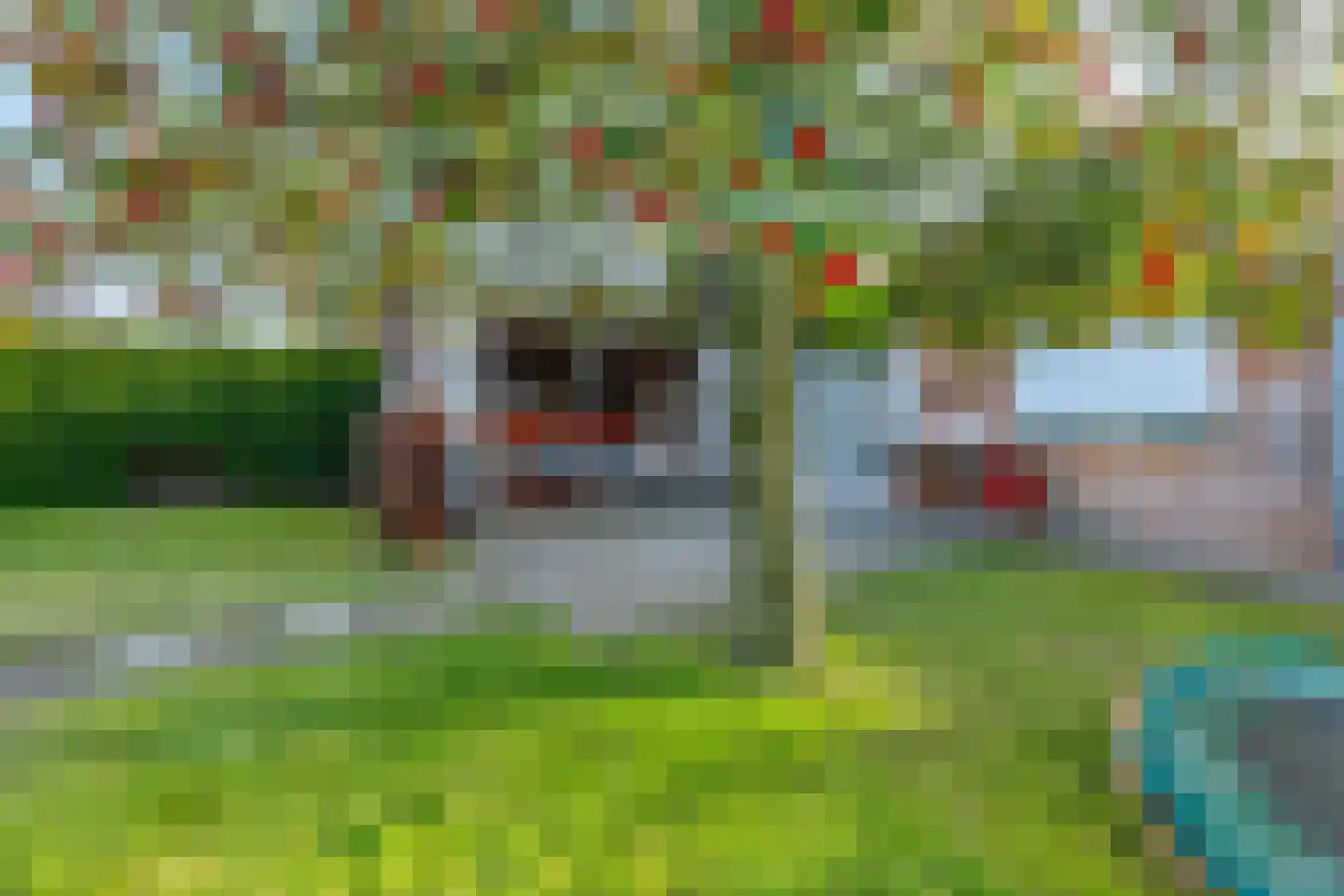 Dorpstraat 81 A Echt thumbnail 63