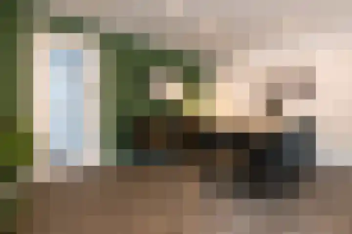 Dorpstraat 81 Buchten thumbnail 19