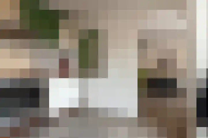 Dorpstraat 81 Buchten thumbnail 23