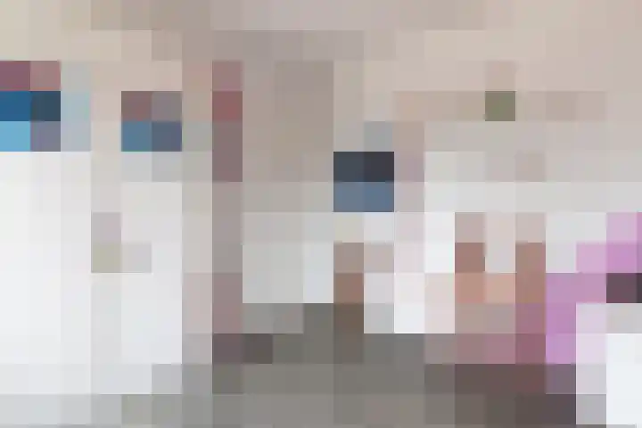 Dorpstraat 81 Buchten thumbnail 28