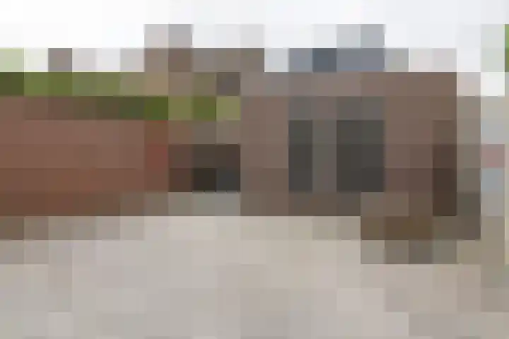Dorpstraat 81 Buchten thumbnail 39