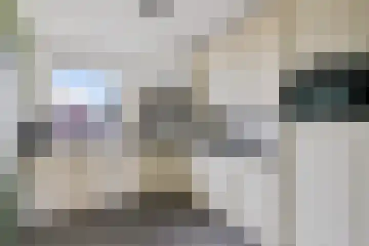 Dorpstraat 83 Baexem thumbnail 13