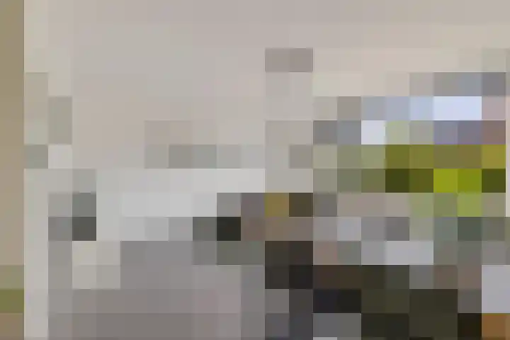 Dorpstraat 83 Baexem thumbnail 14
