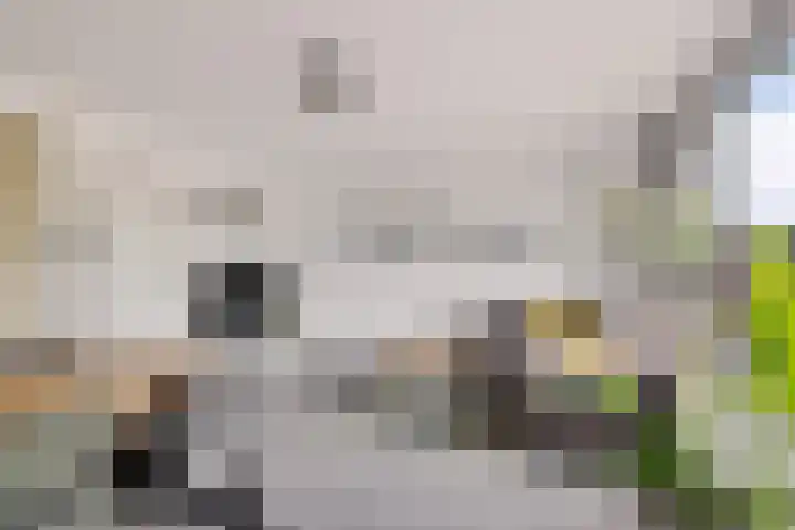 Dorpstraat 83 Baexem thumbnail 15