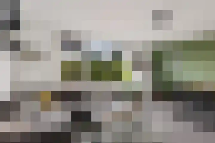 Dorpstraat 83 Baexem thumbnail 16