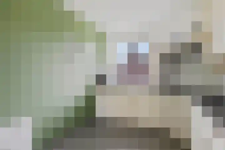 Dorpstraat 83 Baexem thumbnail 18