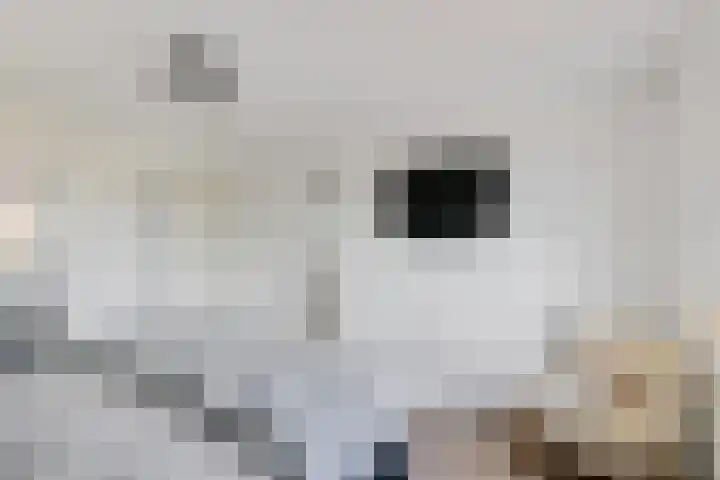 Dorpstraat 83 Baexem thumbnail 21