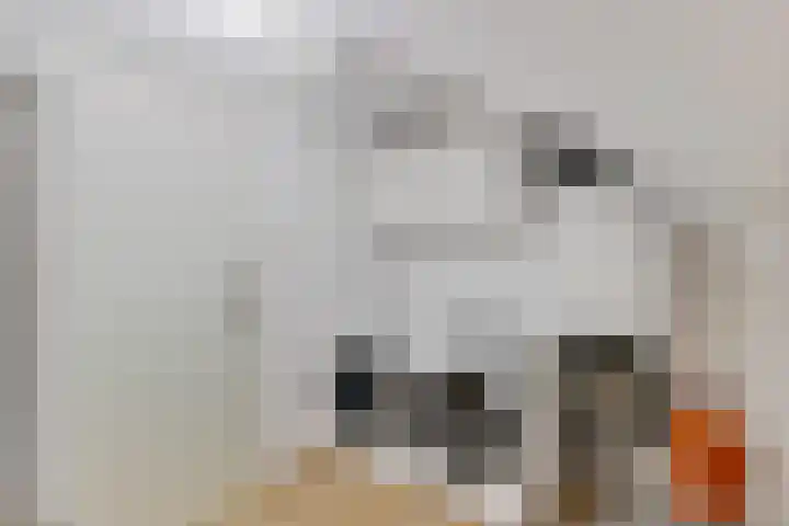 Dorpstraat 83 Baexem thumbnail 36