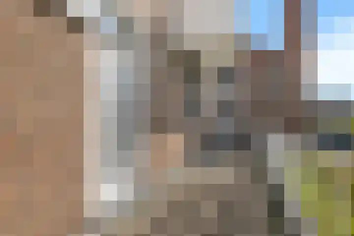 Dorpstraat 83 Baexem thumbnail 8
