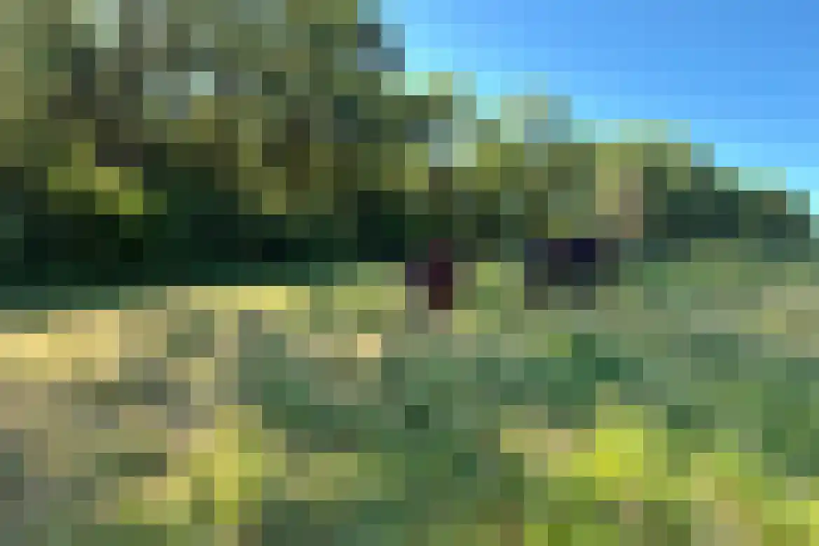 Dorpstraat 84 Spaubeek thumbnail 46