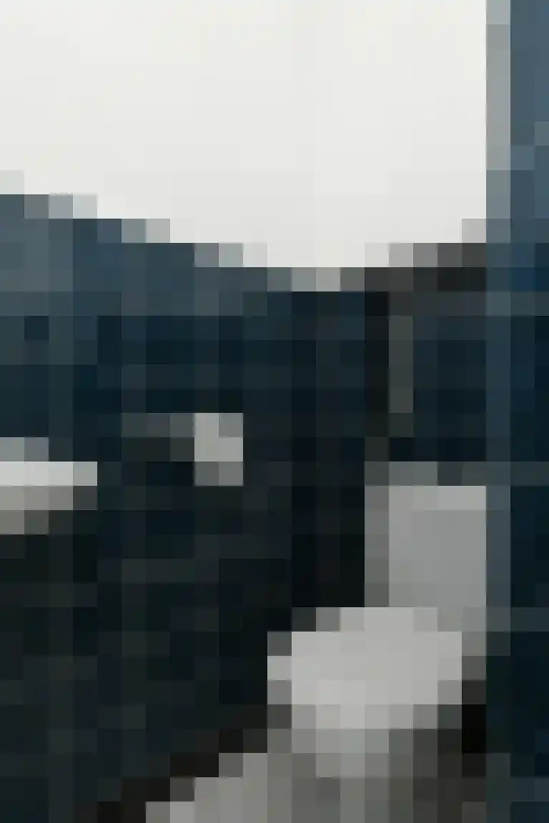 Dorpstraat 85 Baexem thumbnail 8