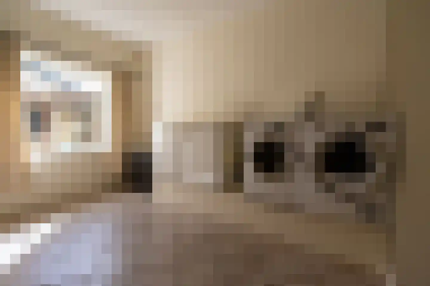 Dorpstraat 86 Maasbree thumbnail 17