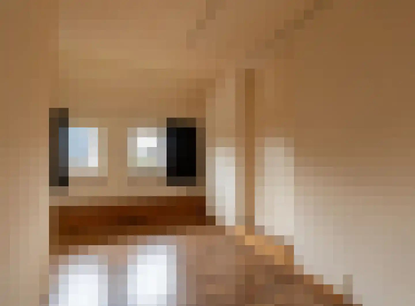 Dorpstraat 86 Maasbree thumbnail 18