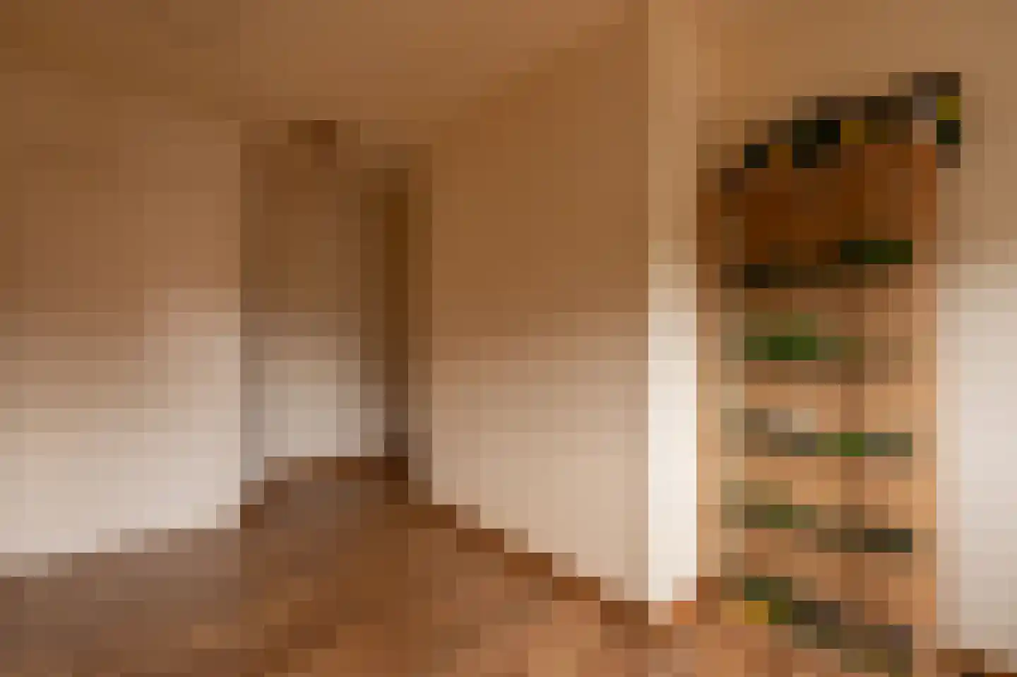 Dorpstraat 86 Maasbree thumbnail 19