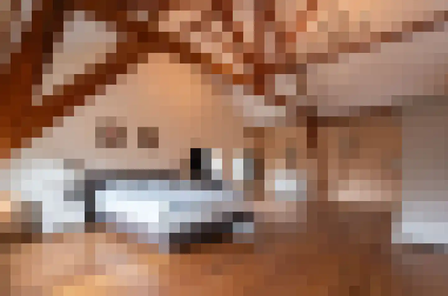 Dorpstraat 86 Maasbree thumbnail 20
