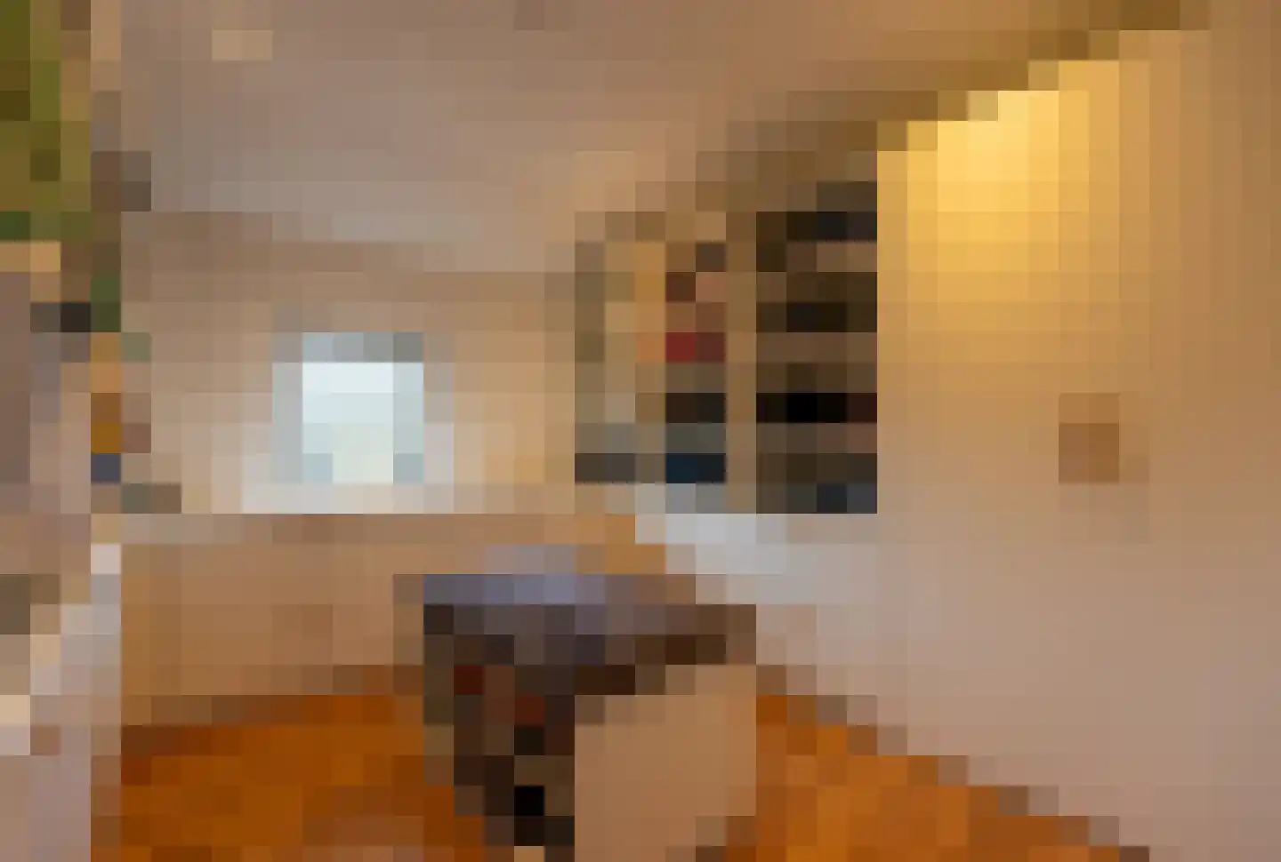 Dorpstraat 86 Maasbree thumbnail 24