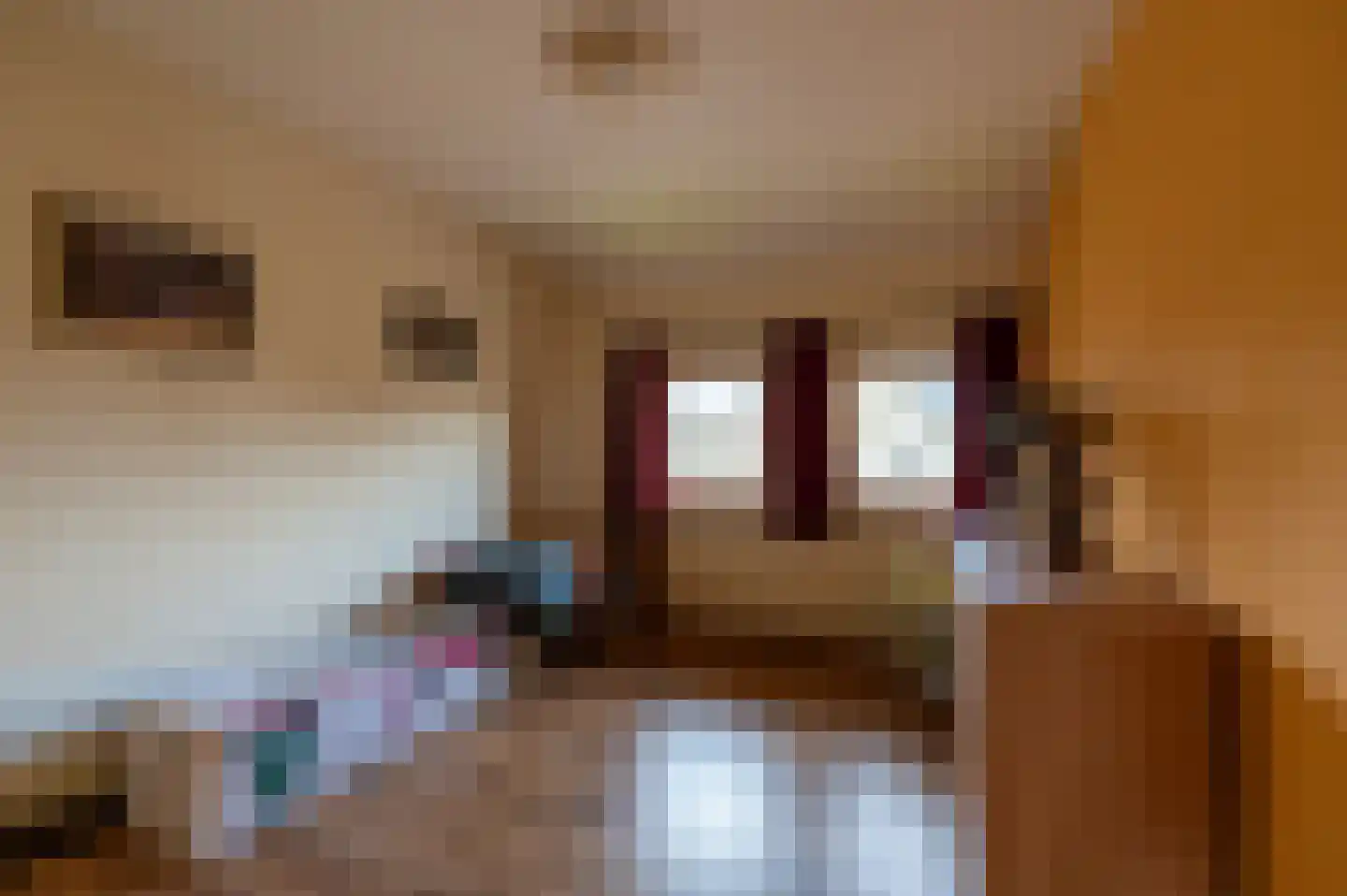 Dorpstraat 86 Maasbree thumbnail 25