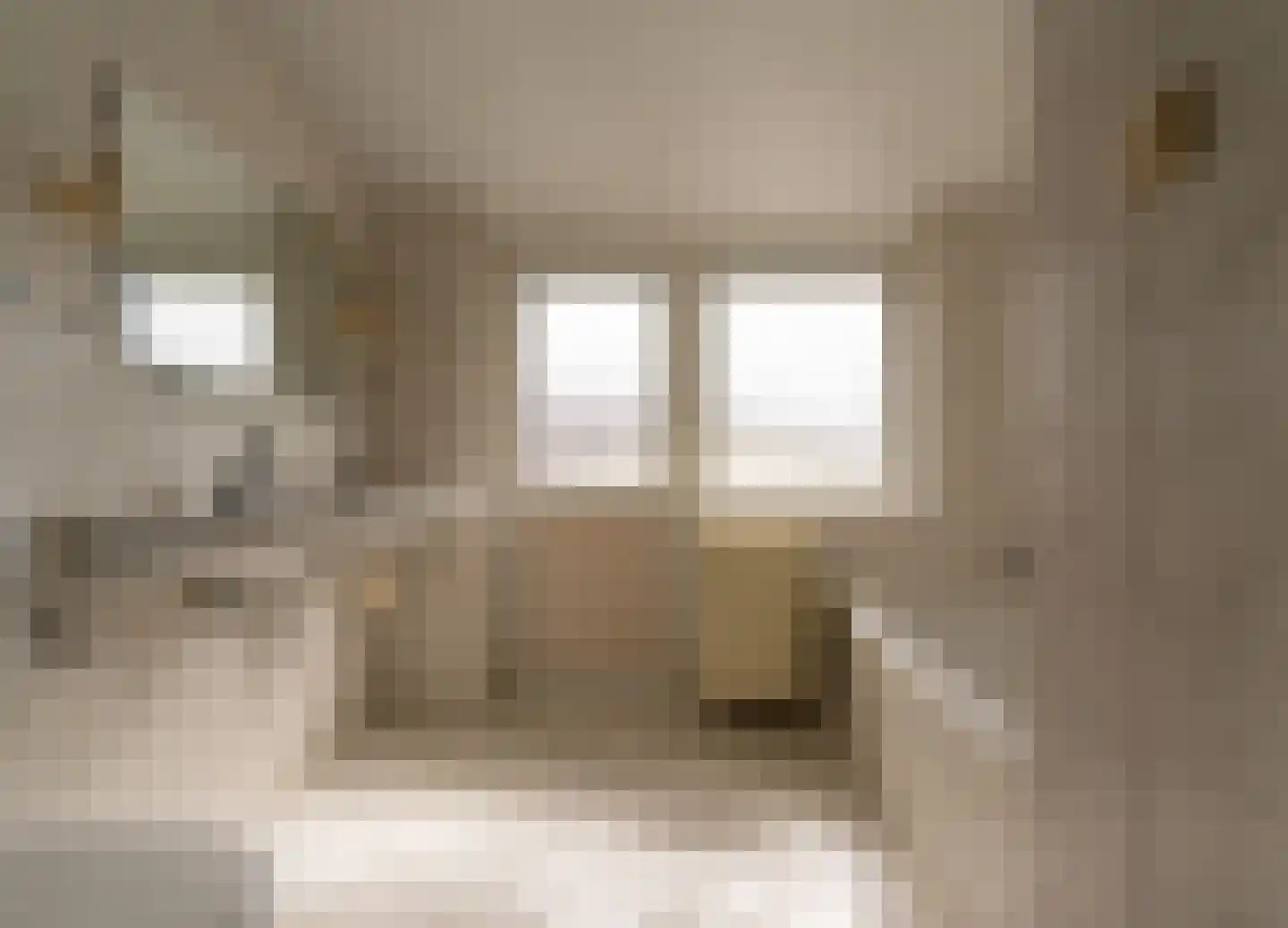 Dorpstraat 86 Maasbree thumbnail 27