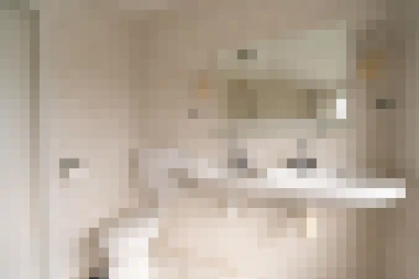 Dorpstraat 86 Maasbree thumbnail 29