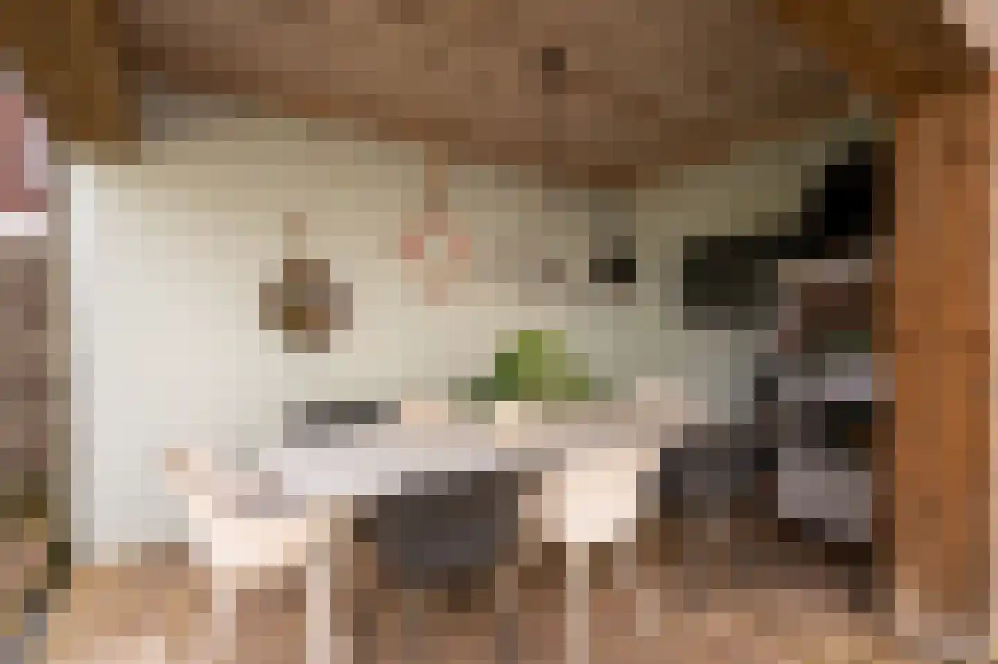 Dorpstraat 86 Maasbree thumbnail 32