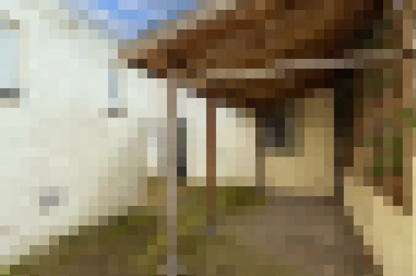 Dorpstraat 86 Maasbree thumbnail 33