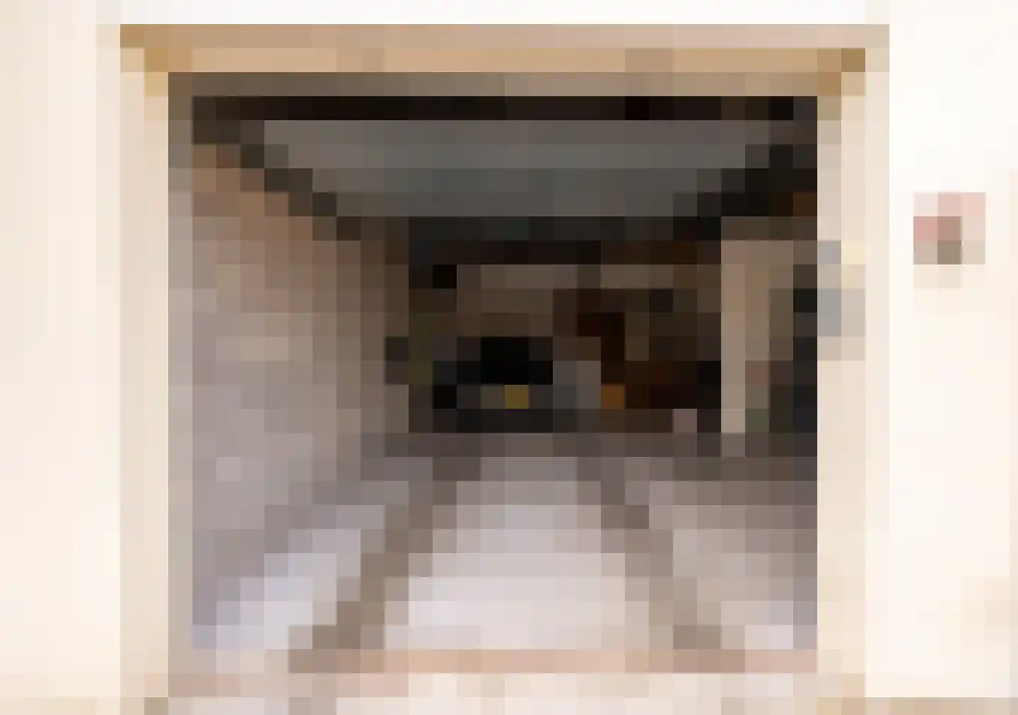 Dorpstraat 86 Maasbree thumbnail 37