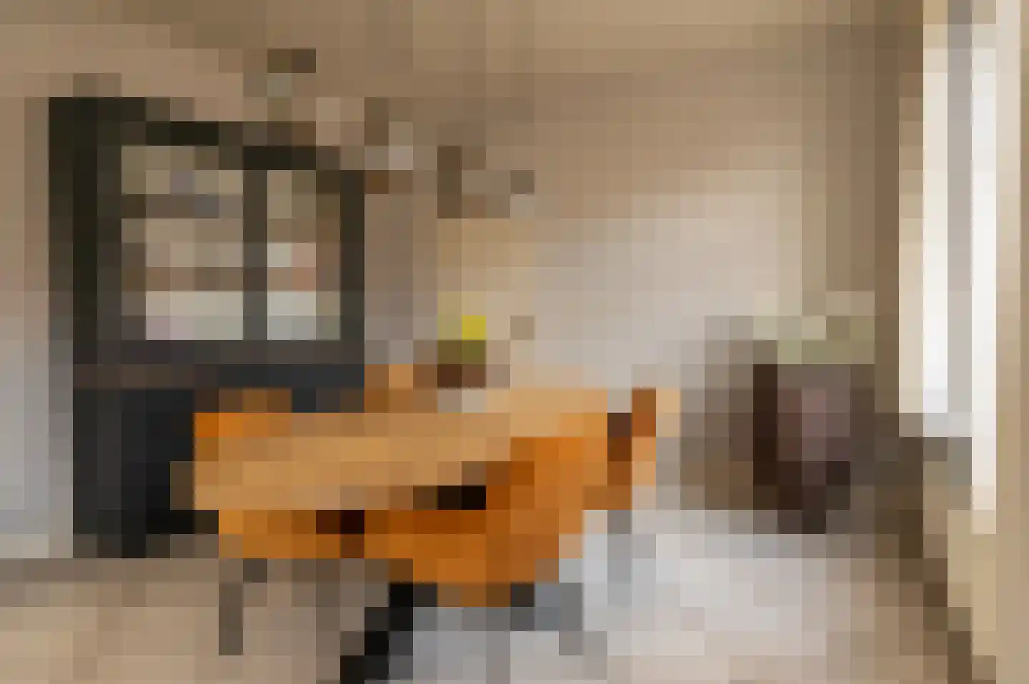 Dorpstraat 86 Maasbree thumbnail 4