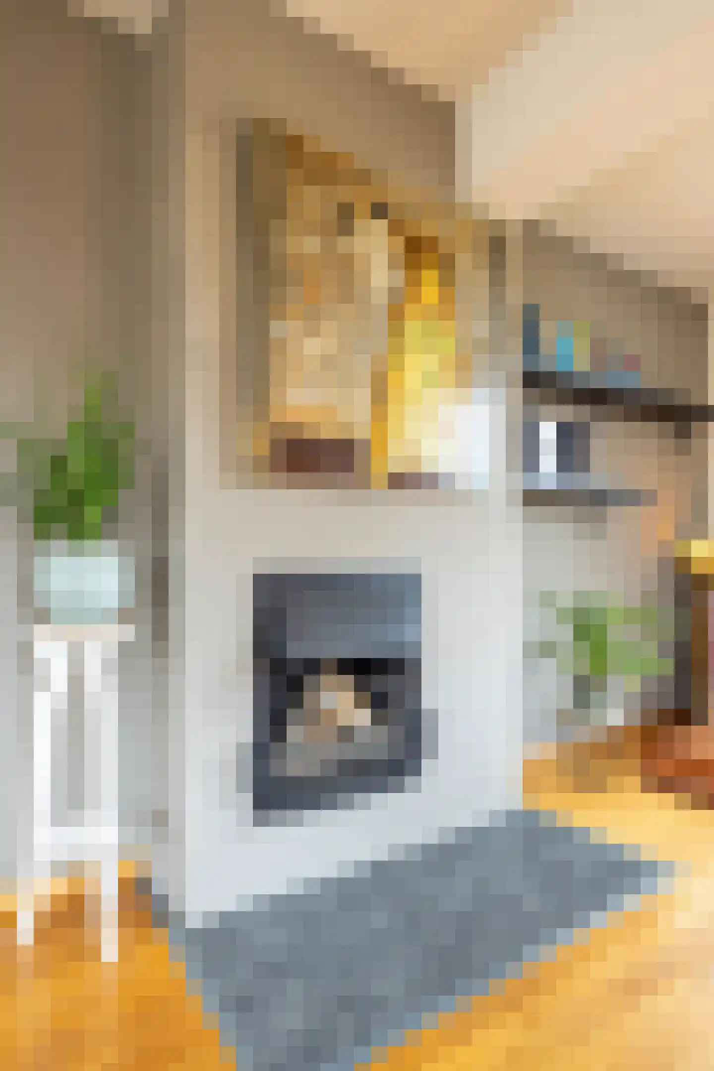 Dorpstraat 86 Spaubeek thumbnail 18