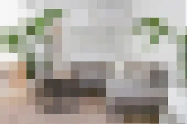 Dorpstraat 87 Buchten thumbnail 15