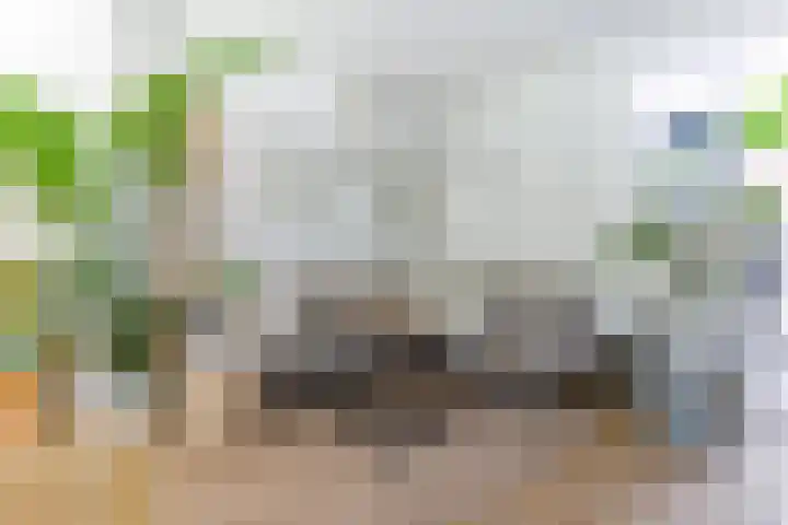 Dorpstraat 87 Buchten thumbnail 16