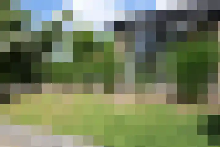 Dorpstraat 87 Buchten thumbnail 32