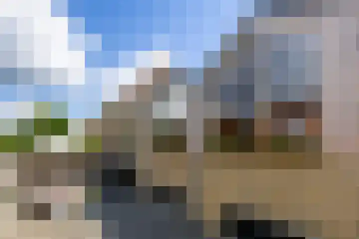 Dorpstraat 87 Buchten thumbnail 57