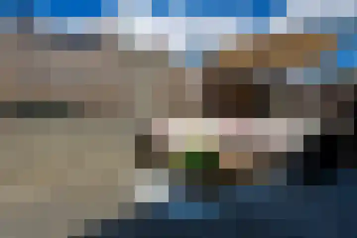 Dorpstraat 87 Buchten thumbnail 58