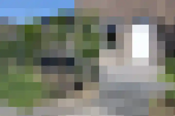 Dorpstraat 87 Buchten thumbnail 7
